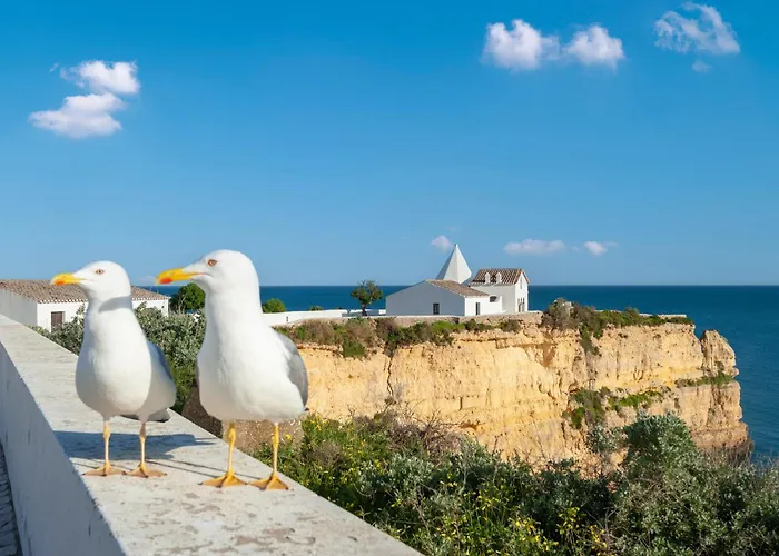 The Boathouse With Sea View